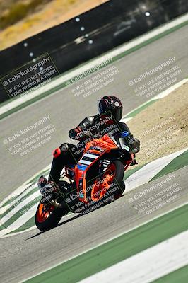 media/Oct-25-2025-2WTD (Sat) [[1e4a1f2fa2]]/B Group/Session 5 (Turn 2)/